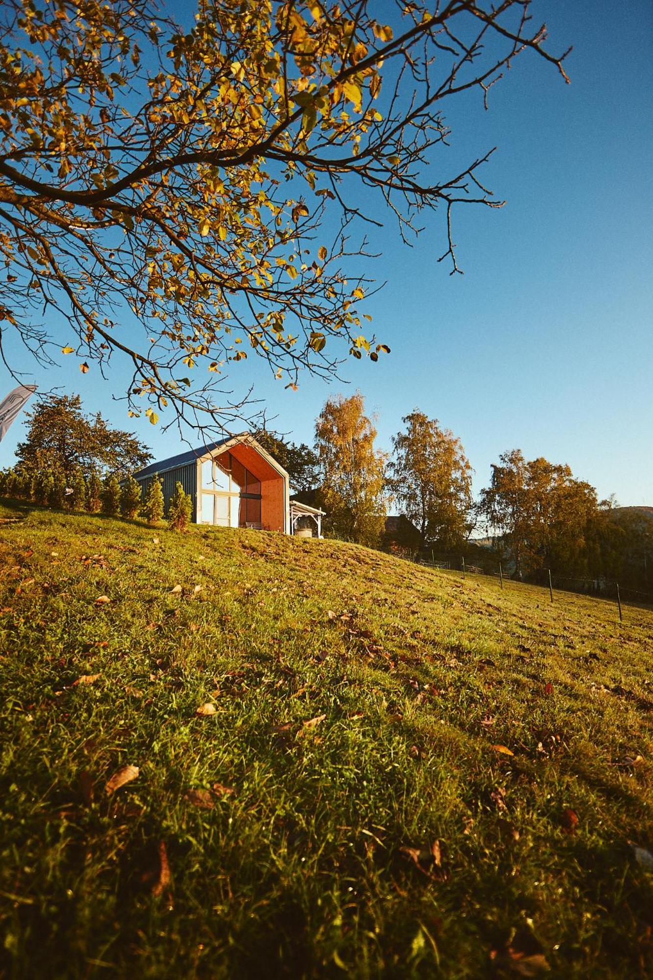 Scandinave Chalet Bran Zarnesti Exterior photo