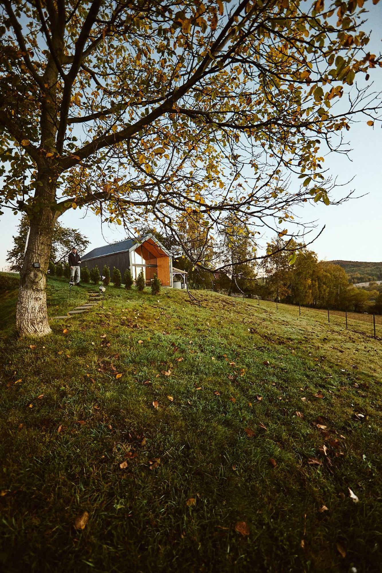 Scandinave Chalet Bran Zarnesti Exterior photo