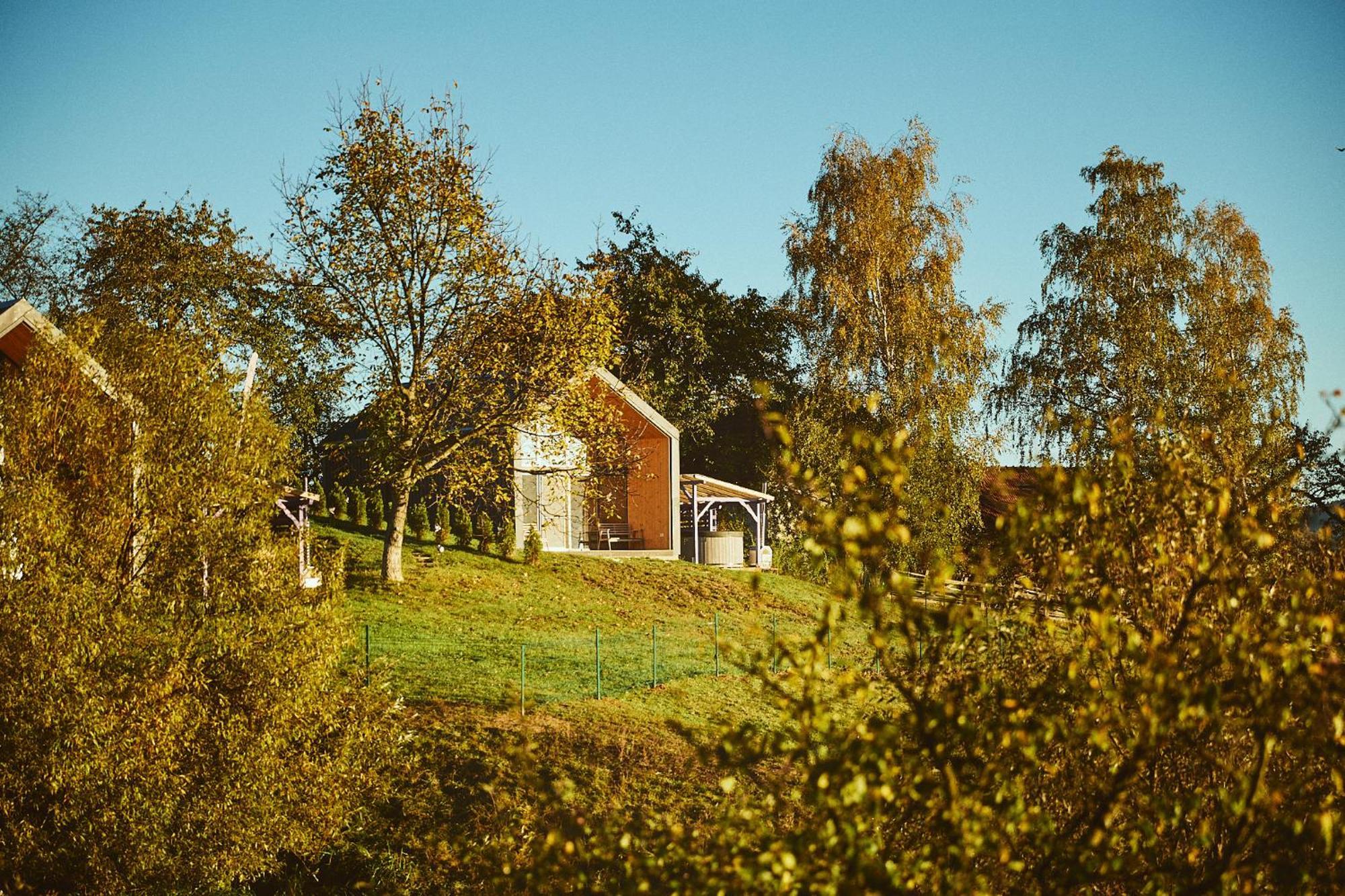 Scandinave Chalet Bran Zarnesti Exterior photo