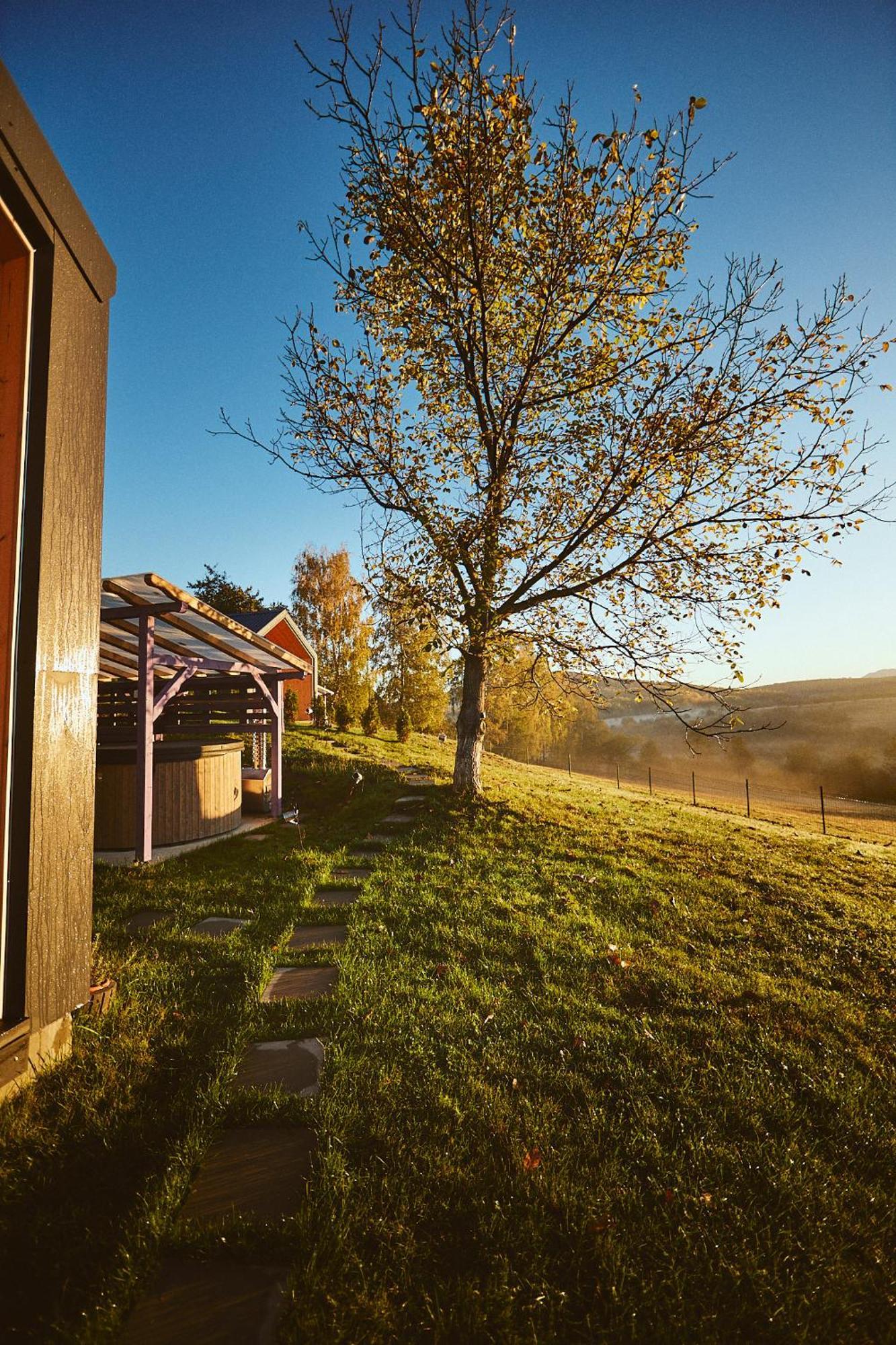 Scandinave Chalet Bran Zarnesti Exterior photo