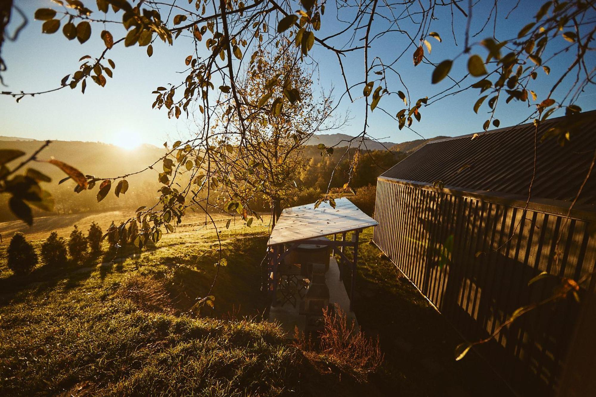 Scandinave Chalet Bran Zarnesti Exterior photo