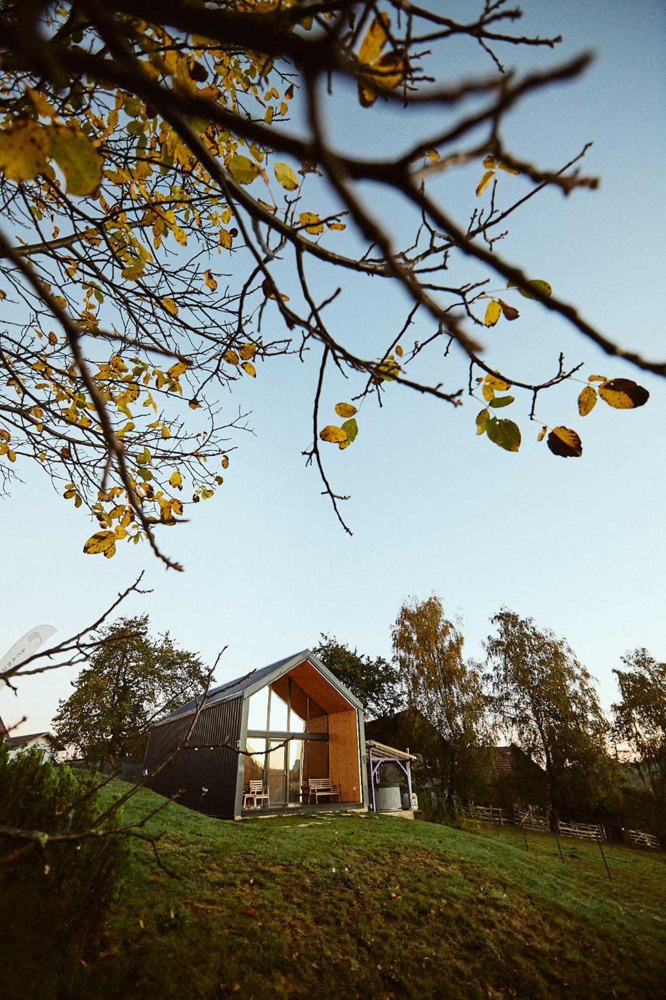 Scandinave Chalet Bran Zarnesti Exterior photo